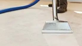 Carpet cleaning wand head gliding over a light carpet during hot-water extraction, Dover, DE.